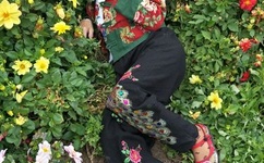 迈开腿让学长CH免费阅读